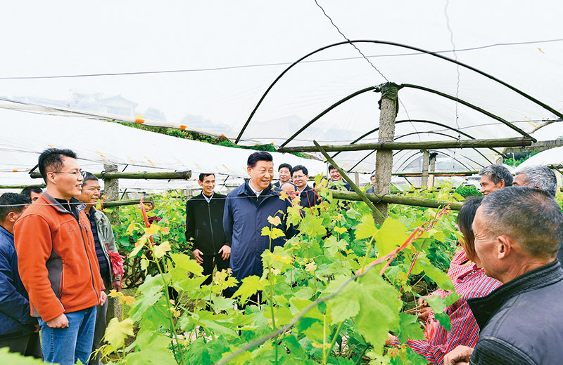 习近平:坚持把解决好“三农”问题作为全党工作重中之重 举全党全社会之力推动乡村振兴 - 习近平总书记关于“三农”工作的重要论述 - 新疆维吾尔 ...